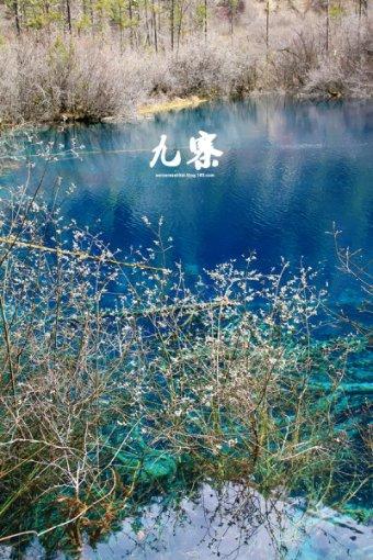 专业问答平台_有问必答_道天录平民t0阵容最新-道天录平民t0阵容最新官方网站
